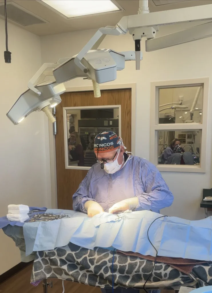 Surgeries