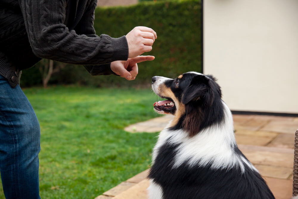 Behavior Management in Canon City