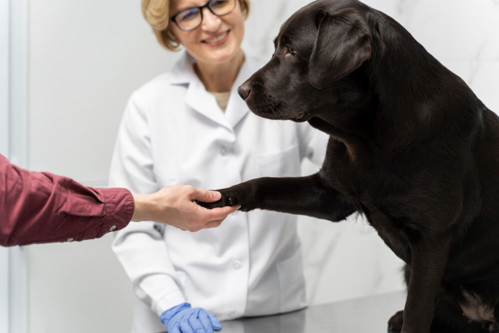 In-House Laboratory  Canon City, CO