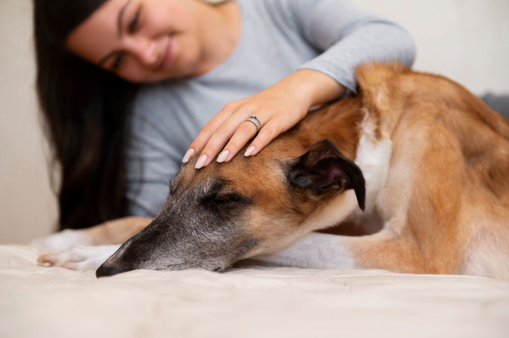 Pain Management  Canon City, CO