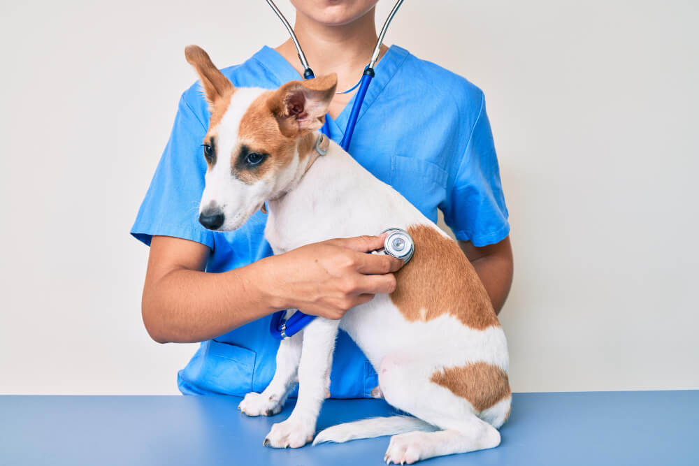 Preventative Care  Canon City, CO