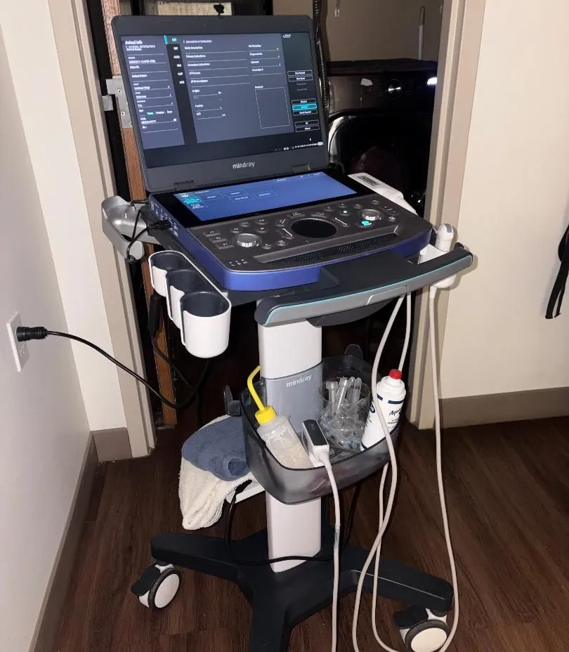 Ultrasounds